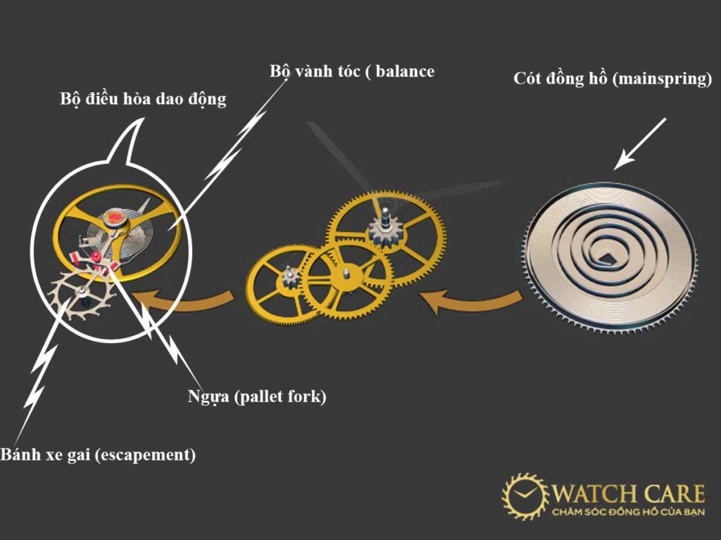 WatchCare kiểm tra đồng hồ nhanh chậm bằng máy đo nhập khẩu