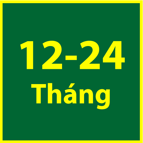 THOI-HAN-BAO-HANH-WATCHCARE-12-24